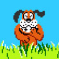 Photo du profil de l'utilisateur